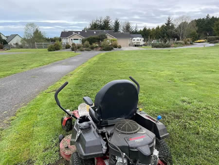 How Often Should You Mow Your Eureka Lawn Without Damaging It?