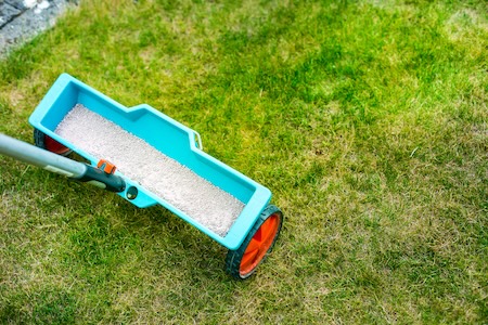 Lawn Fertilization in Humboldt County: When to Feed for Real Results