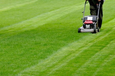 One-Time vs. Recurring Lawn Mowing: Which Is Cheaper Long-Term?