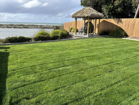 How Often Should You Mow in Humboldt’s Coastal Climate?