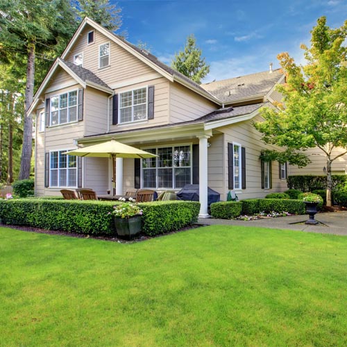 Before & After: Property Cleanup Ideas to Reclaim an Overgrown Arcata Yard